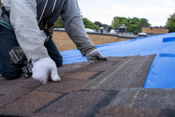Best Metal Roofing Installation  in Enon, VA